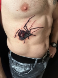 Tattoo pauk